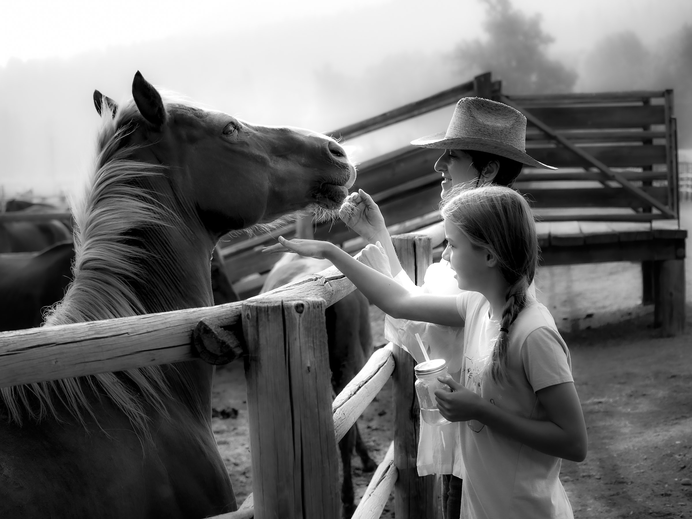 Smale-Horse-Ranch-3